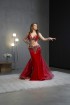 Professional bellydance costume (Classic 313A_1)